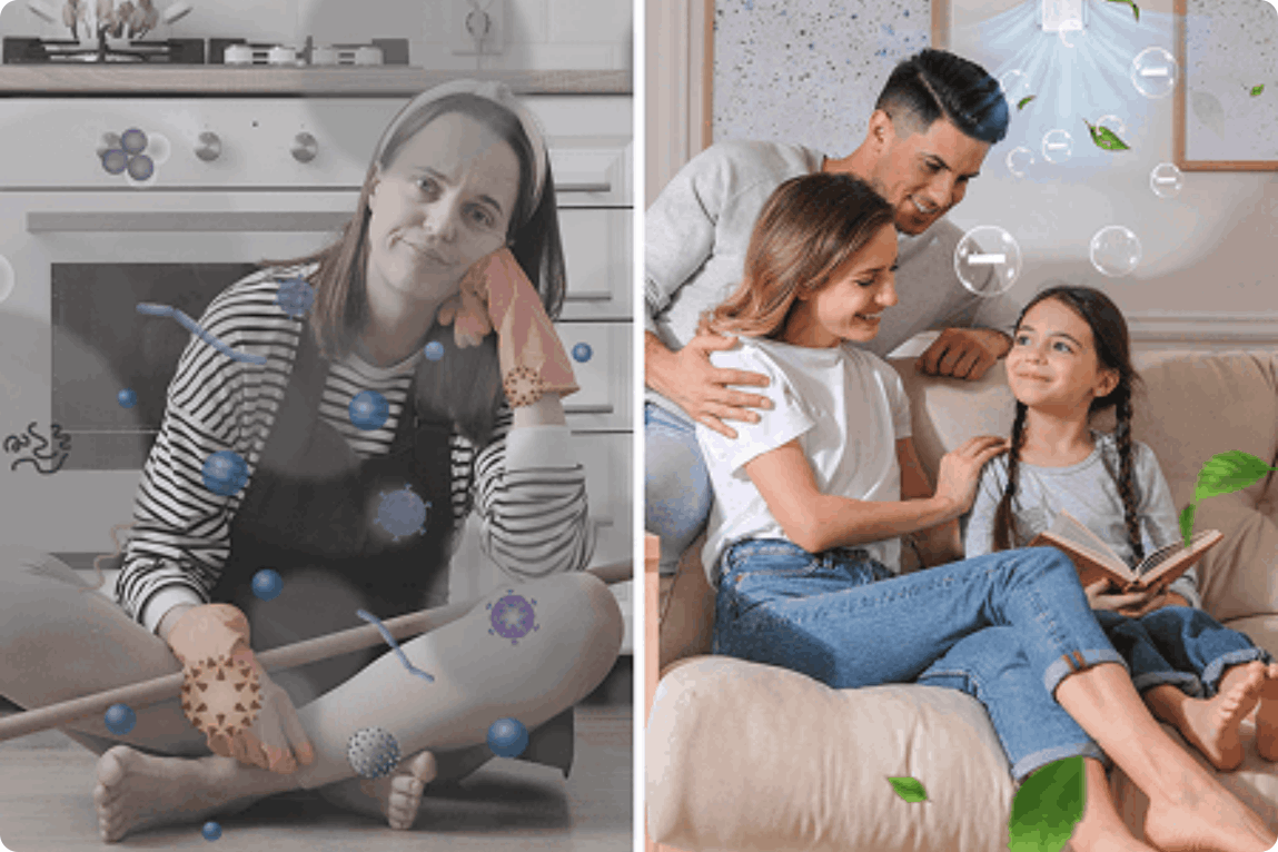 Ionshield Air Purifier order now
